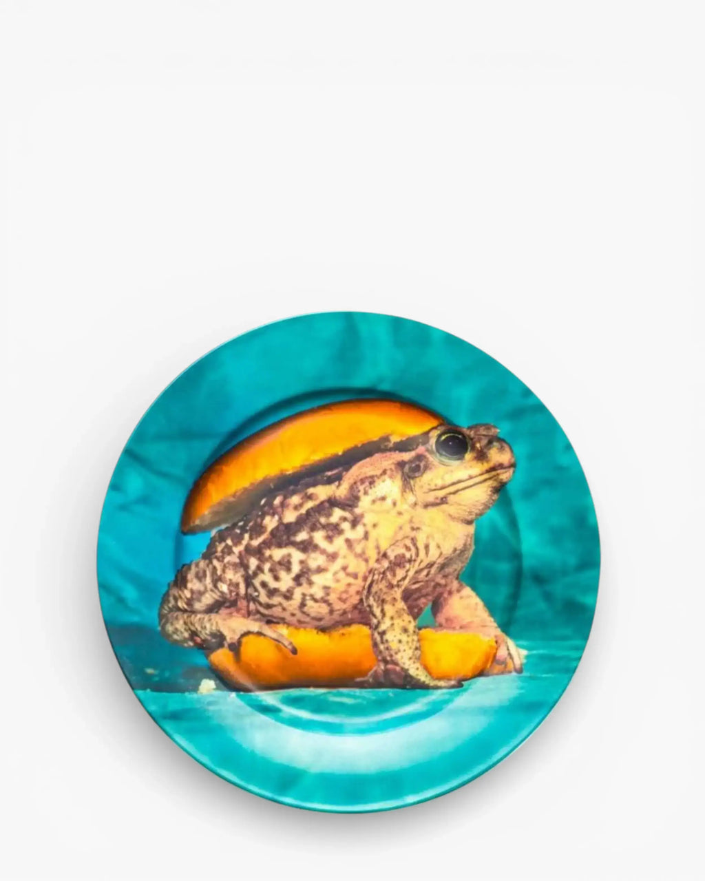 【最終値下げ】SELETTI TOILETPAPER ポーセリンディナープレート Seletti Toiletpaper porcelain dinner plate with frog