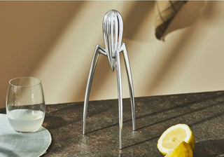 Discover iconic design and playful creativity in the Alessi - Best Seller collection, featuring legendary designers and timeless kitchen icons. Buy now on SHOPDECOR®