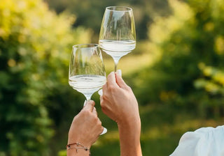 Savor every sip with Zafferano wine glasses—handcrafted red wine goblets, elegant cocktail glasses, and premium glassware for wine tasting. Buy now on SHOPDECOR®