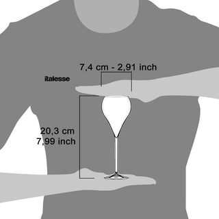 Coffret Flûte Ballon Italesse 6 flûtes à champagne cc. 210 en verre transparent