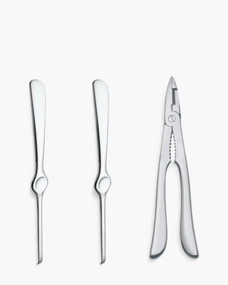 ab+ by Abert Set 3 pcs shellfish steel - Buy now on ShopDecor - Discover the best products by AB+ design