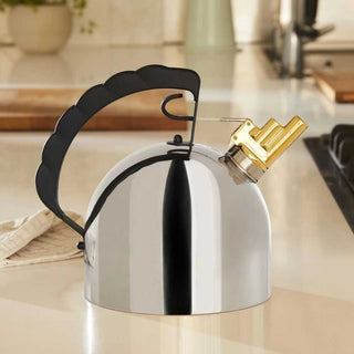 Alessi 9091 kettle in steel - Buy now on ShopDecor - Discover the best products by ALESSI design