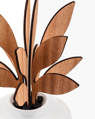 Alessi MW64 The five leaf fragrance diffuser - Buy now on ShopDecor - Discover the best products by ALESSI design