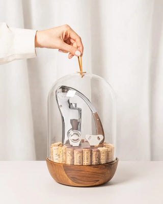 L'Atelier du Vin Ensemble d'accessoires pour vin Oeno Motion Groom