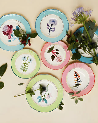 Bitossi Botanica dinner plate diam. 26.5 cm. - 10.43 in. - Buy now on ShopDecor - Discover the best products by BITOSSI HOME design