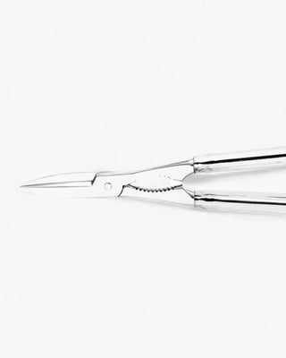 Broggi Serbelloni lobster cracker silver plated nickel - Buy now on ShopDecor - Discover the best products by BROGGI design