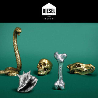 Diesel with Seletti Wunderkrammer Human Skull decoration brass - Buy now on ShopDecor - Discover the best products by DIESEL LIVING WITH SELETTI design