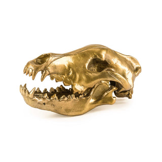 Diesel with Seletti Wunderkammer Wolf Skull decoration brass - Buy now on ShopDecor - Discover the best products by DIESEL LIVING WITH SELETTI design