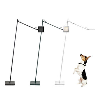 Flos Kelvin Led F floor lamp - Buy now on ShopDecor - Discover the best products by FLOS design