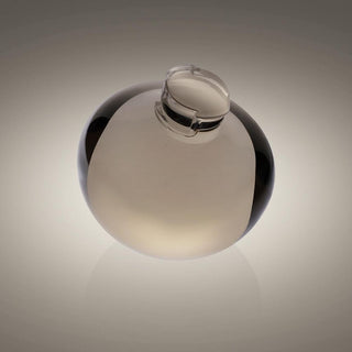 Foscarini Caboche Plus ceiling lamp LED transparent - Buy now on ShopDecor - Discover the best products by FOSCARINI design