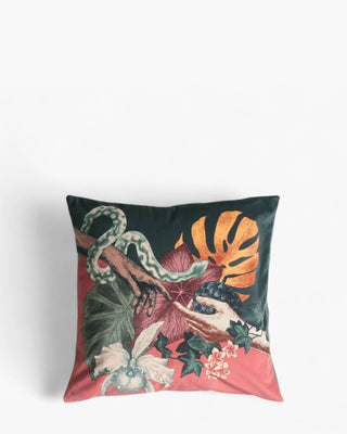 Ibride Boucan velvet cushion Rencontre - Buy now on ShopDecor - Discover the best products by IBRIDE design