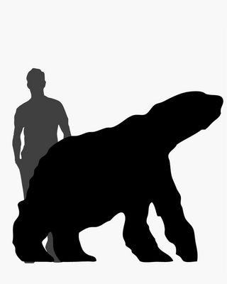 Ibride Joe bear bookcase corten steel - Buy now on ShopDecor - Discover the best products by IBRIDE design