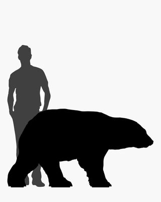 Ibride Junior bear bookcase corten steel - Buy now on ShopDecor - Discover the best products by IBRIDE design