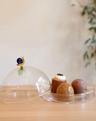 Ichendorf Animal Farm dome with dish snail and leaf - Buy now on ShopDecor - Discover the best products by ICHENDORF design