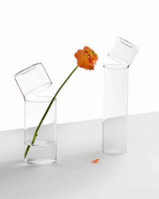 Ichendorf Attesa flower vase - Buy now on ShopDecor - Discover the best products by ICHENDORF design