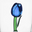 Ichendorf Blue Tulip