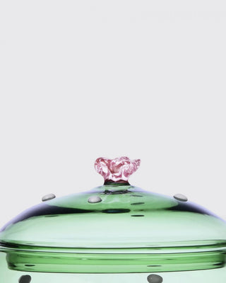 Ichendorf Desert Plants box green cactus with pink flower - Buy now on ShopDecor - Discover the best products by ICHENDORF design