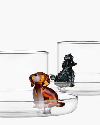 Ichendorf Dogs set 6 tea cups with saucer mix - Buy now on ShopDecor - Discover the best products by ICHENDORF design