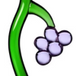 Ichendorf Grape