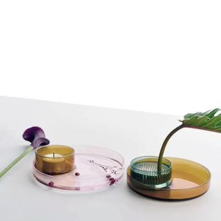 Ichendorf Kenzan set of 3 items: 2 glass trays + 1 brass flower frog - Buy now on ShopDecor - Discover the best products by ICHENDORF design