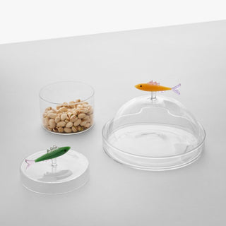 Ichendorf Marine Garden box sardine green - Buy now on ShopDecor - Discover the best products by ICHENDORF design