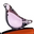 Ichendorf Pink Bird