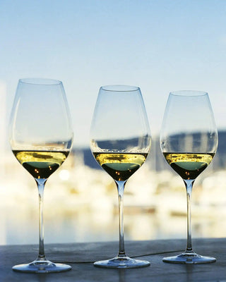 Coffret Italesse Masterclass 48 6 flûtes à champagne à pied cc. 480 en verre transparent
