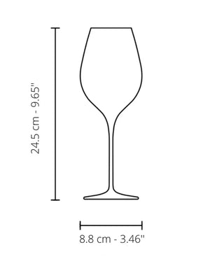 Coffret Italesse Masterclass 48 6 flûtes à champagne à pied cc. 480 en verre transparent