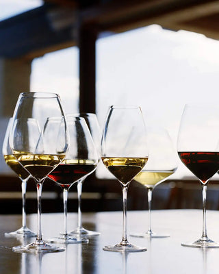 Coffret Italesse Masterclass 50 6 flûtes à champagne à pied cc. 520 en verre transparent