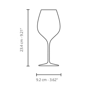 Italesse Masterclass 50 set 6 stemmed champagne glasses cc. 520 in clear glass - Buy now on ShopDecor - Discover the best products by ITALESSE design