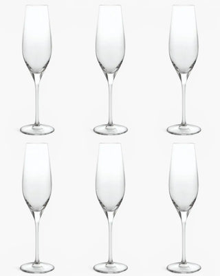 Ivv Vizio set 6 glass flutes - Buy now on ShopDecor - Discover the best products by IVV design