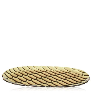 Kartell Jellies Family tray in technopolymer - Buy now on ShopDecor - Discover the best products by KARTELL design