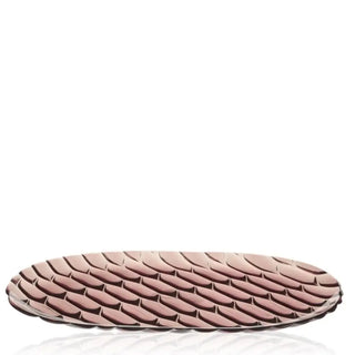 Kartell Jellies Family tray in technopolymer - Buy now on ShopDecor - Discover the best products by KARTELL design