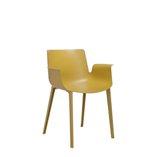 Kartell Piuma armchair in technopolymer