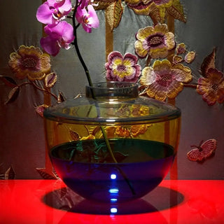 Kartell Shibuya vase/container in PMMA - Buy now on ShopDecor - Discover the best products by KARTELL design