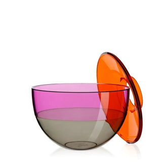 Kartell Shibuya vase/container in PMMA - Buy now on ShopDecor - Discover the best products by KARTELL design