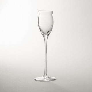 KnIndustrie Experimental Cocktail Grappa Glass - Buy now on ShopDecor - Discover the best products by KNINDUSTRIE design