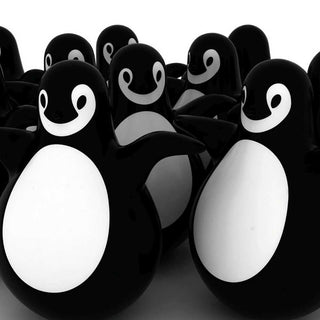 Magis Me Too Pingy Penguin black and white - Buy now on ShopDecor - Discover the best products by MAGIS ME TOO design