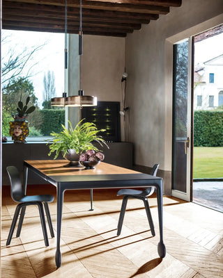 Magis Substance chair with ash frame and polypropylene seat