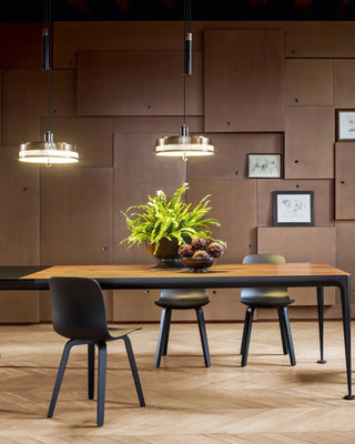 Magis Substance chair with ash frame and polypropylene seat