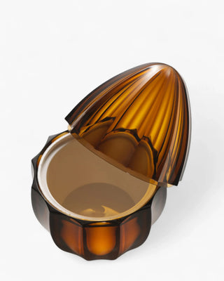 Mario Luca Giusti Serena ice cream bowl Amber - Buy now on ShopDecor - Discover the best products by MARIO LUCA GIUSTI design
