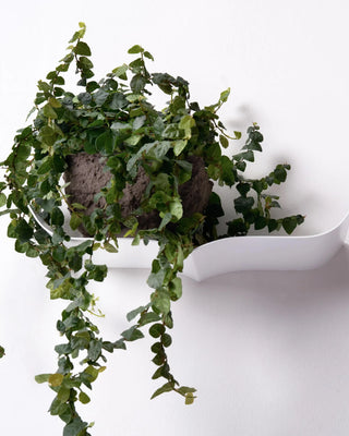 Opinion Ciatti Nori steel wall shelf - Buy now on ShopDecor - Discover the best products by OPINION CIATTI design