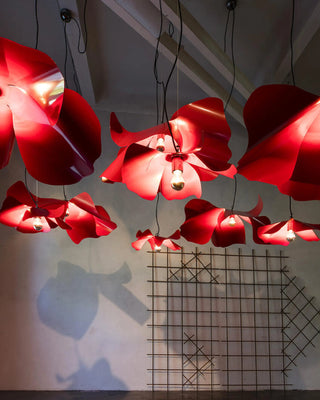 Opinion Ciatti Papavero Raggiante pendant lamp - Buy now on ShopDecor - Discover the best products by OPINION CIATTI design