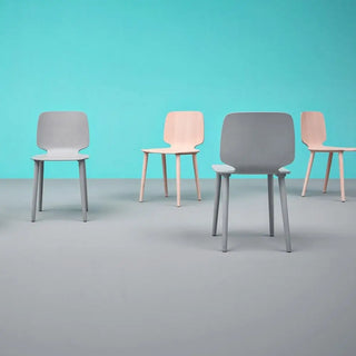 Pedrali Babila 2700 ash chair