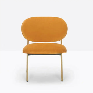 Pedrali Blume 2951 lounge chair with upholstered seat and back and anodized aluminium structure Antique brass OA Velvet E06 - Buy now on ShopDecor - Discover the best products by PEDRALI design