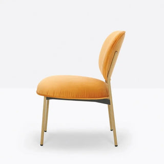 Pedrali Blume 2951 lounge chair with upholstered seat and back and anodized aluminium structure - Buy now on ShopDecor - Discover the best products by PEDRALI design