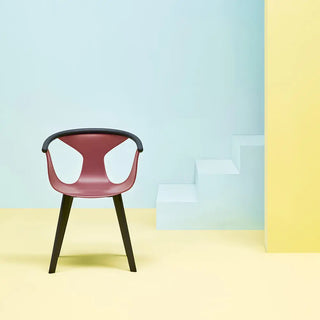 Pedrali Fox 3725 ash armchair with polypropylene shell - Buy now on ShopDecor - Discover the best products by PEDRALI design