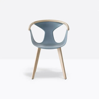 Pedrali Fox 3725 ash armchair with polypropylene shell Ash FR Blue BL - Buy now on ShopDecor - Discover the best products by PEDRALI design