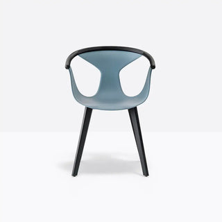 Pedrali Fox 3725 ash armchair with polypropylene shell Black aniline AN Blue BL - Buy now on ShopDecor - Discover the best products by PEDRALI design