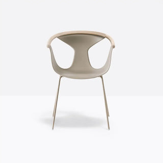 Pedrali Fox 3726 steel armchair with polypropylene shell and ash backrest Ash FR Sand SA - Buy now on ShopDecor - Discover the best products by PEDRALI design